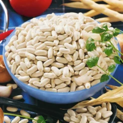 Cannellini Bush Bean Seeds (Organic) -Grow Organic Sales Shop 2093 bean canollini bush 2 web