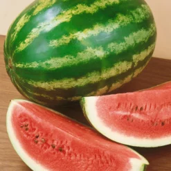 Crimson Sweet Watermelon Seeds (Organic) -Grow Organic Sales Shop 440 watermelon crimson sweet web