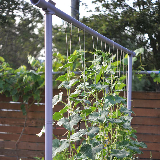 Grow Organic Sales Shop -Grow Organic Sales Shop Freyr Trellis 800