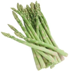 Asparagus Jersey Knight