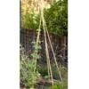 Bamboo Stakes - 10' (Pack Of 10)