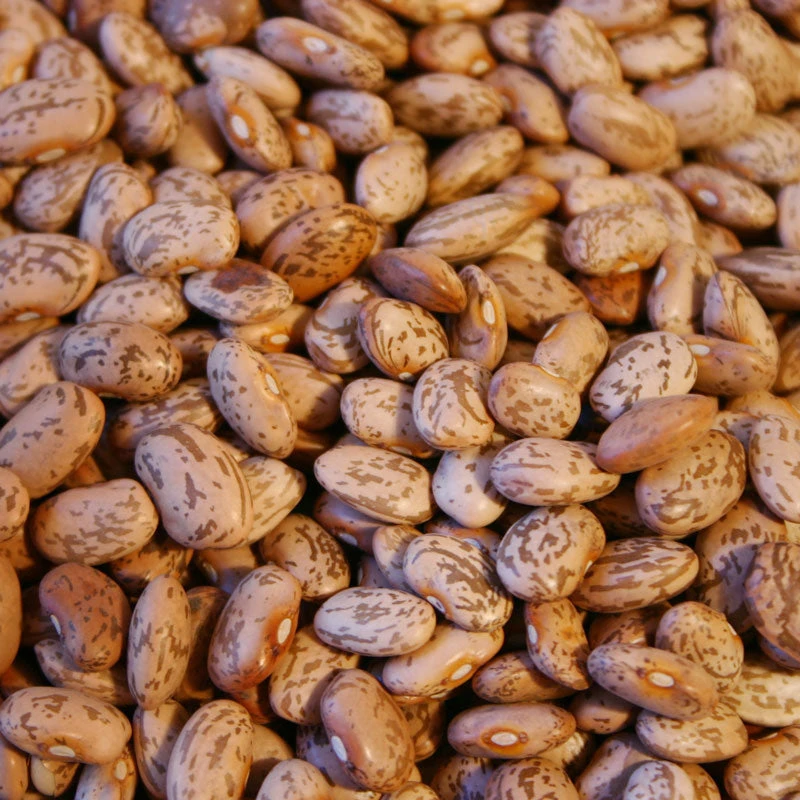 Organic Bean, Pinto (1/2 Lb) 2 Organic Bean, Pinto (1/2 Lb) - Image 2