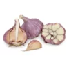 Conventionally Grown Garlic, Bogatyr (lb)