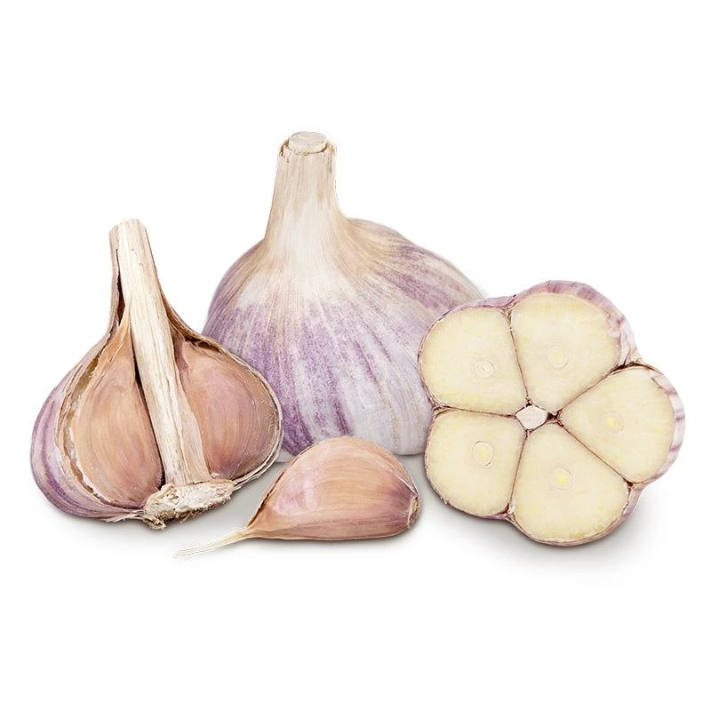 Conventionally Grown Garlic, Music (lb) 1 Conventionally Grown Garlic, Music (lb)