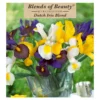 Iris Hollandica Blend (Pack Of 30)