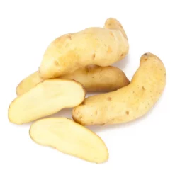 Fall-Planted Organic Austrian Crescent Fingerling Seed Potatoes (lb)