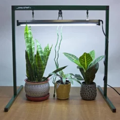 Jump Start 2-Foot Light System With One Lamp