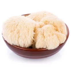 Lion's Mane Mushroom Kit