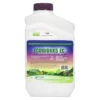 Ecoworks EC (32 Ounce) (OID DUAL)