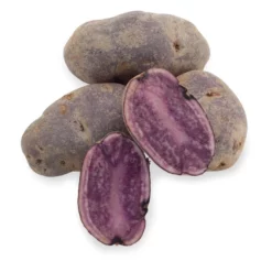 Fall-Planted Organic All Blue Seed Potatoes (lb)