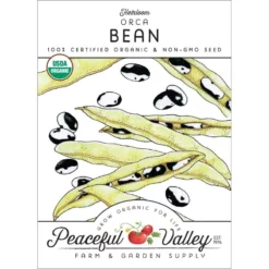 Orca Bush Bean Seeds (Organic)