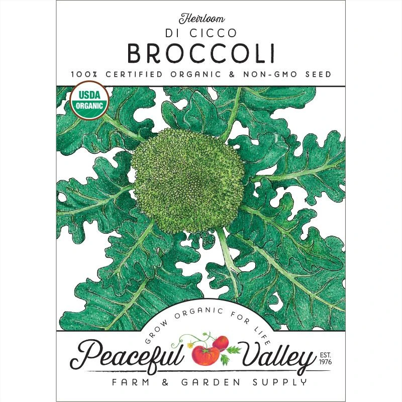 Di Cicco Broccoli Seeds (Organic) 1 Di Cicco Broccoli Seeds (Organic)