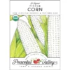 Mirage Corn Seeds (Organic)