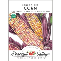 Seneca Red Corn Seeds (Organic)