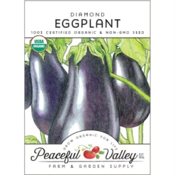 Diamond Eggplant Seeds (Organic)