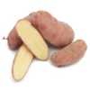 Fall-Planted Organic French Fingerling Seed Potatoes (lb)