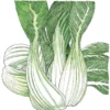 Organic Greens, Pak Choi (1/4 Lb)