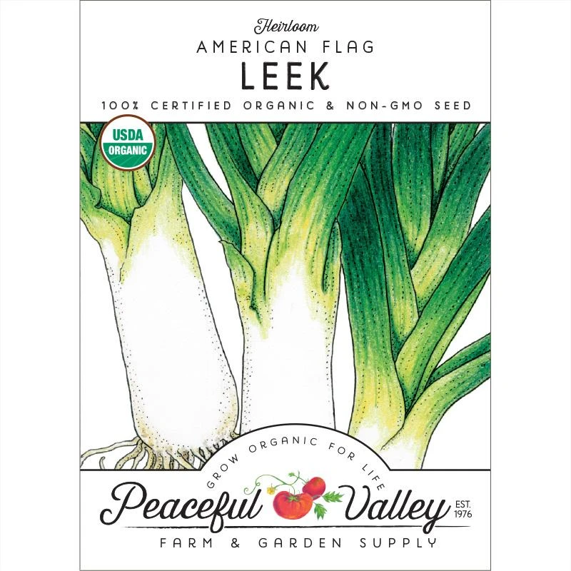 American Flag Leek Seeds (Organic) 1 American Flag Leek Seeds (Organic)