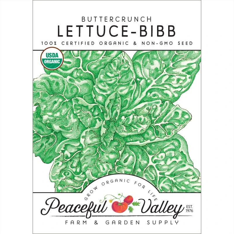Buttercrunch Lettuce Seeds (Organic) 1 Buttercrunch Lettuce Seeds (Organic)