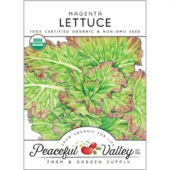 Magenta Lettuce Seeds (Organic)