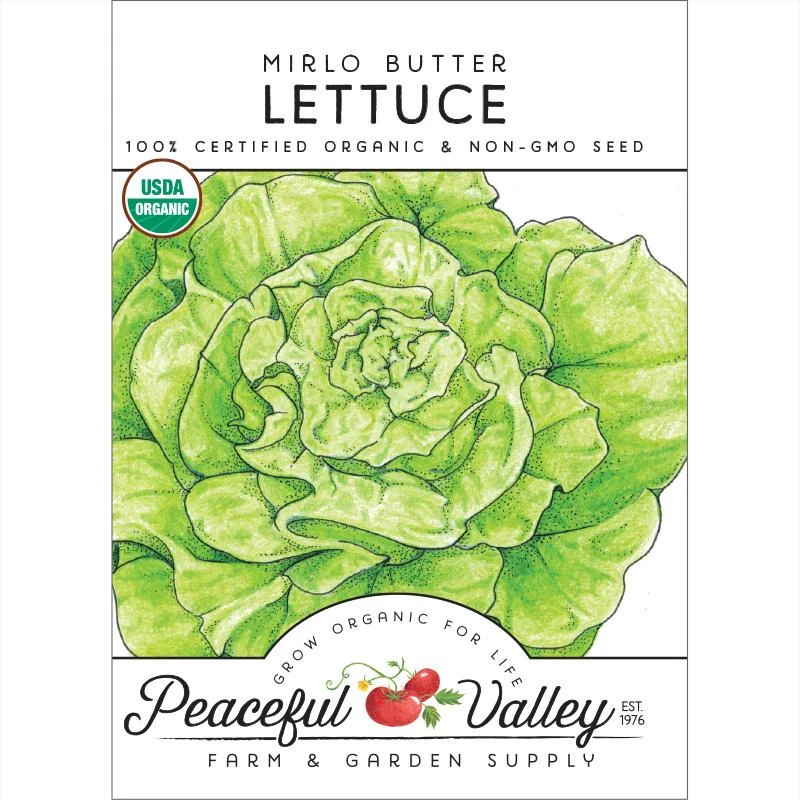 Mirlo Butter Lettuce Seeds (Organic) 1 Mirlo Butter Lettuce Seeds (Organic)