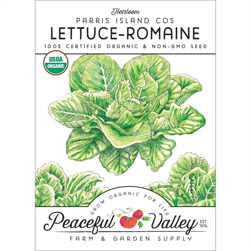 Parris Island Cos Lettuce Seeds (Organic) 1 Parris Island Cos Lettuce Seeds (Organic)