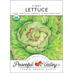 Pirat Lettuce Seeds (Organic)
