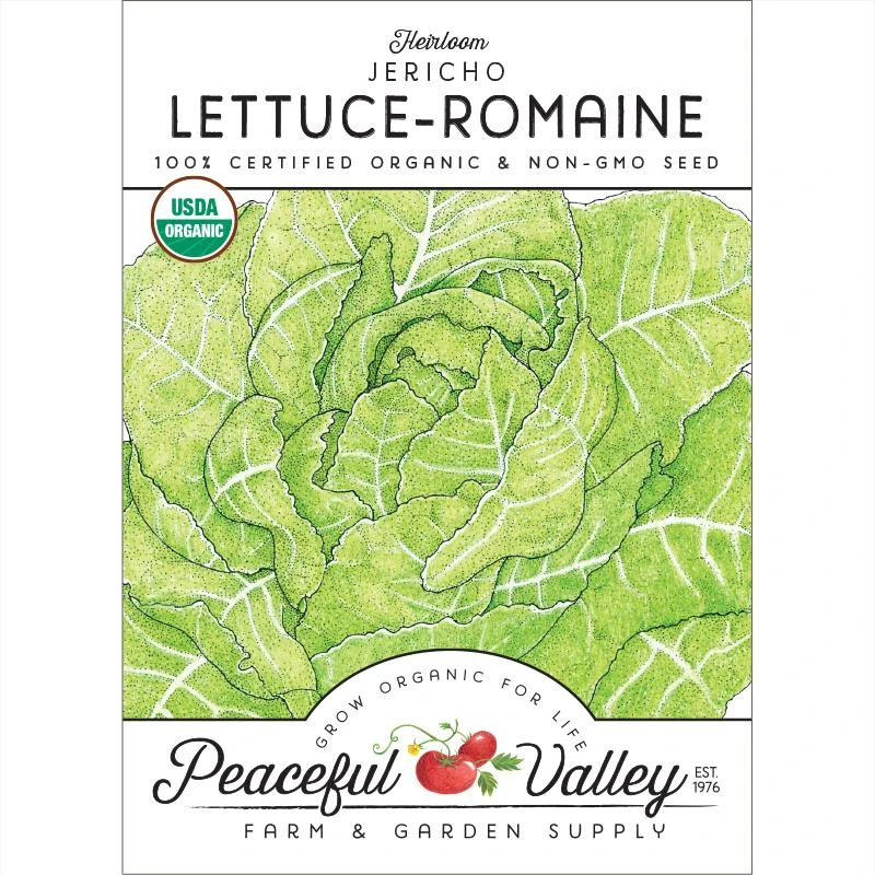 Romaine, Jericho Lettuce Seeds (Organic) 1 Romaine, Jericho Lettuce Seeds (Organic)
