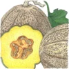 Organic Melon, Hearts Of Gold (1/4 Lb)