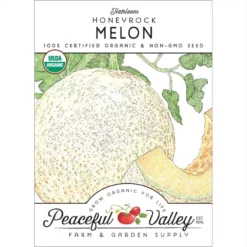 Honeyrock Melon Seeds (Organic)
