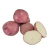 Fall-Planted Organic Norland Red Seed Potatoes (lb)