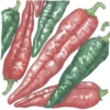 Organic Pepper, Hot New Mexico Joe Parker (1 Oz)
