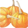 Organic Pumpkin, Small Sugar (1/4 Lb)