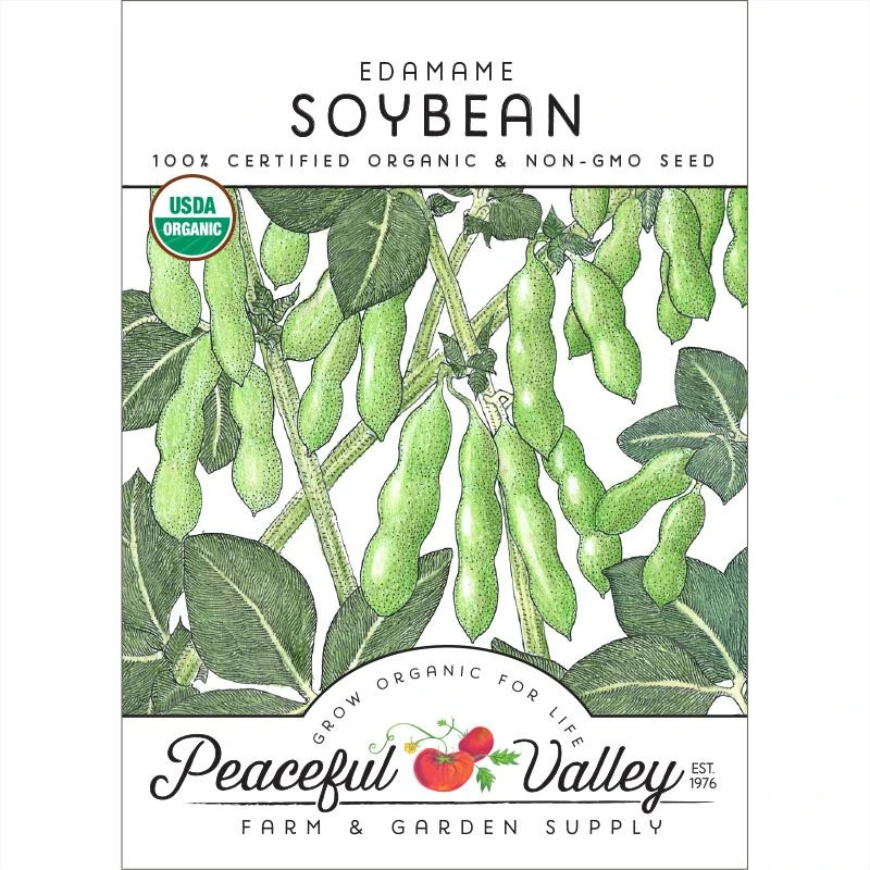 Edamame Soybean Seeds (Organic) 1 Edamame Soybean Seeds (Organic)