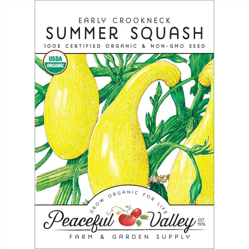 Early Crookneck Summer Squash Seeds (Organic) 1 Early Crookneck Summer Squash Seeds (Organic)