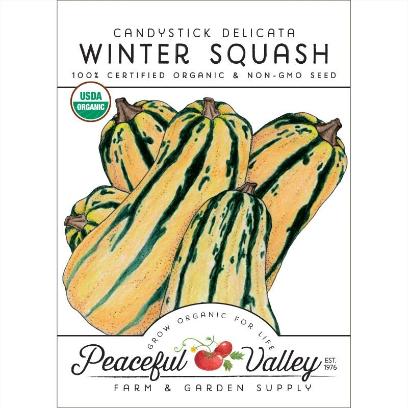 Delicata Candystick Winter Squash Seeds (Organic) 1 Delicata Candystick Winter Squash Seeds (Organic)
