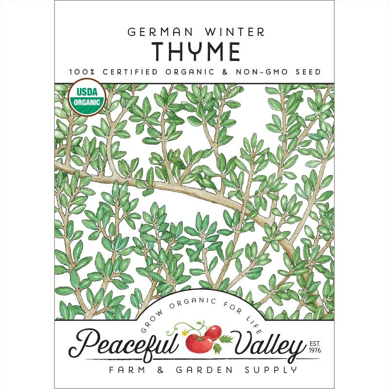 Organic Thyme, German Winter 1 Organic Thyme, German Winter