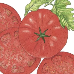 Organic Tomato, Beefsteak (1 Oz)