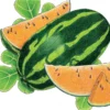 Organic Watermelon, Tendersweet Orange 1/4 Lb