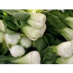 Pak Choi Baby Shanghai Greens Seeds (Organic) -Grow Organic Sales Shop pak choy cliff hutson