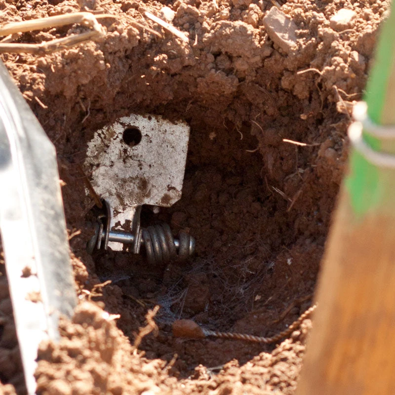 Victor Gopher Traps (Pack Of 2) 3 Victor Gopher Traps (Pack Of 2) - Image 3