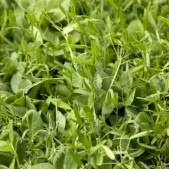 Peaceful Valley Nitro-Max Plow Down Mix Seed (lb)