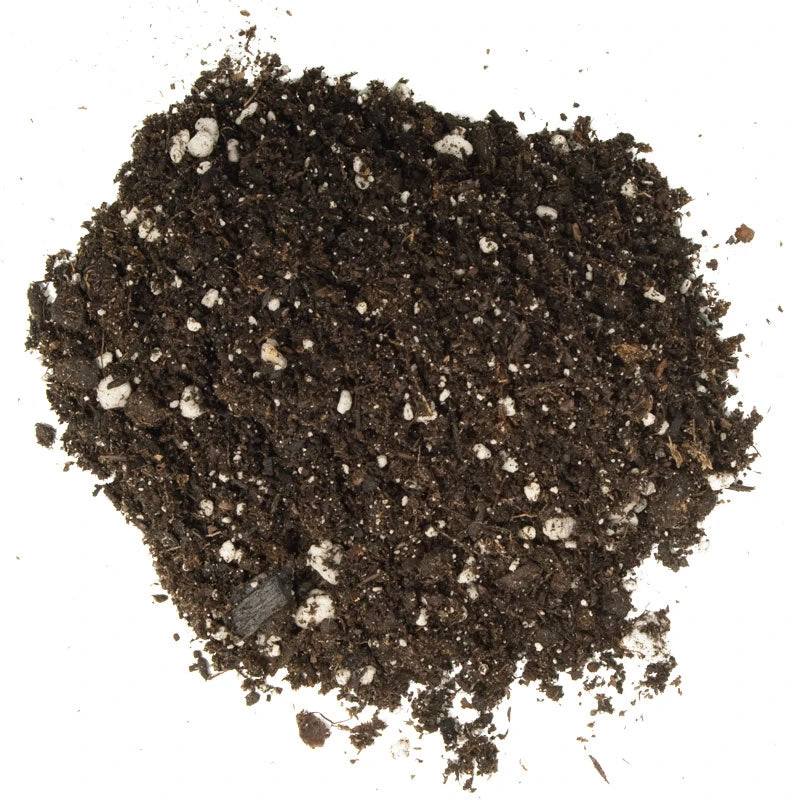 Foxfarm Ocean Forest Potting Soil (1.5 Cu Ft) 2 Foxfarm Ocean Forest Potting Soil (1.5 Cu Ft) - Image 2