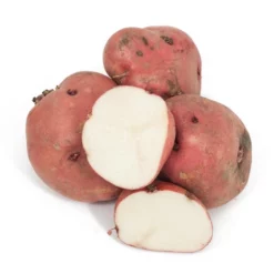 Red Pontiac Potato (Organic)