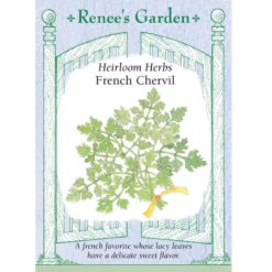 Renee's Garden Chervil French (Heirloom)