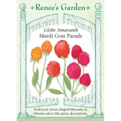 Renee's Garden Globe Amaranth Mardi Gras Parade (Heirloom)