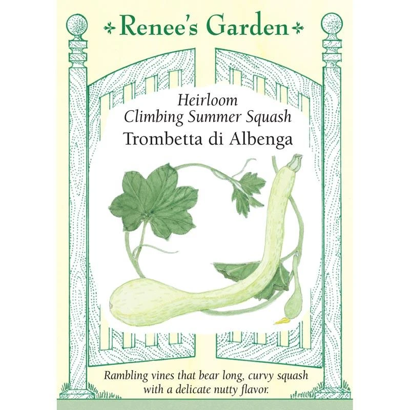 Renee's Garden Squash Summer Climbing Trombetta Di Albinga (Heirloom) 1 Renee's Garden Squash Summer Climbing Trombetta Di Albinga (Heirloom)