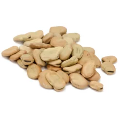 Organic Bean, Fava Broad Windsor (1/2 Lb) -Grow Organic Sales Shop scl705 cat 1