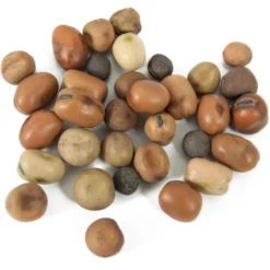 Peaceful Valley Nitro-Max Plow Down Mix Seed (lb) 5 Peaceful Valley Nitro-Max Plow Down Mix Seed (lb) -Grow Organic Sales Shop scm360 1