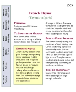 Renee's Garden French Thyme -Grow Organic Sales Shop snv4029 pb